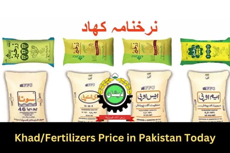 Khad Rate in Pakistan Today 2023 | Fertilizers Sona DAP Price