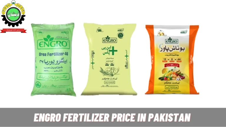 Engro Fertilizer Price in Pakistan Today 2024