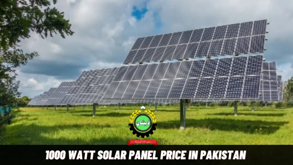1000 Watt Solar Panel Price