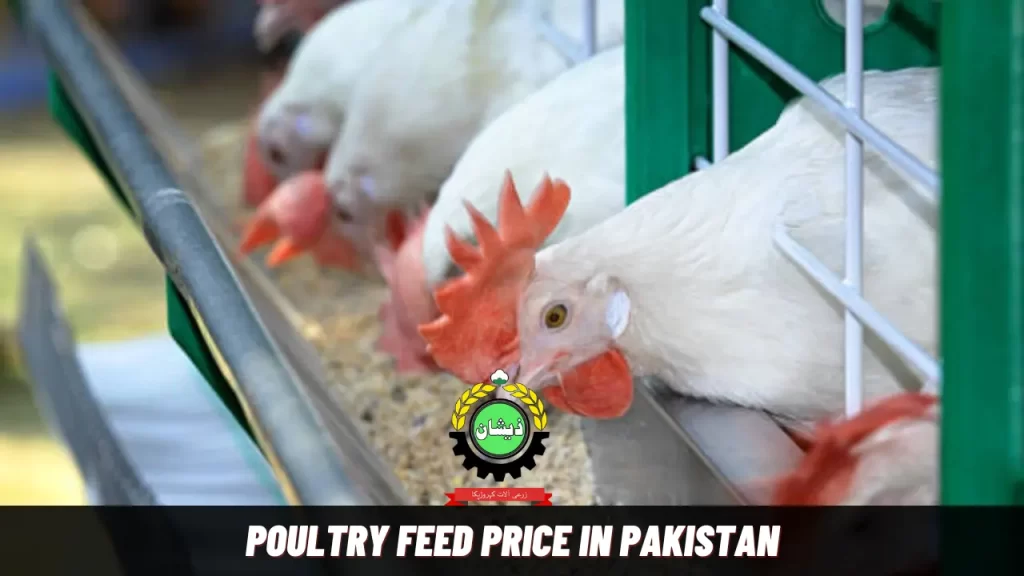 poultry feed price
