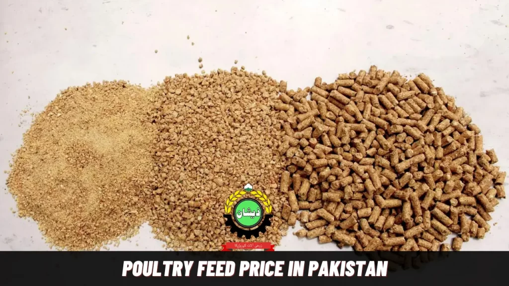 poultry feed price in pakistan